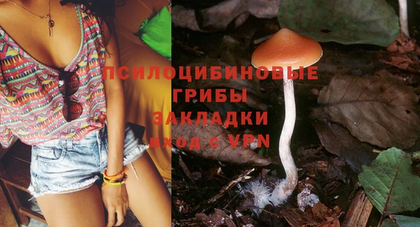 крисы Каменск-Шахтинский