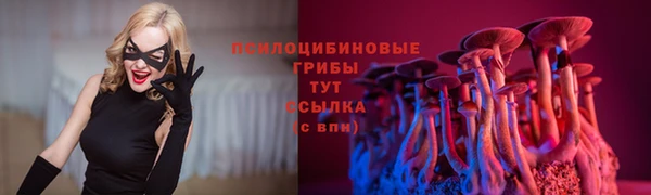 крисы Каменск-Шахтинский