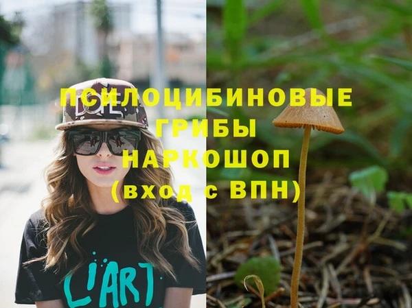 COCAINE Каменногорск
