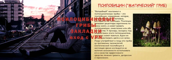 COCAINE Каменногорск