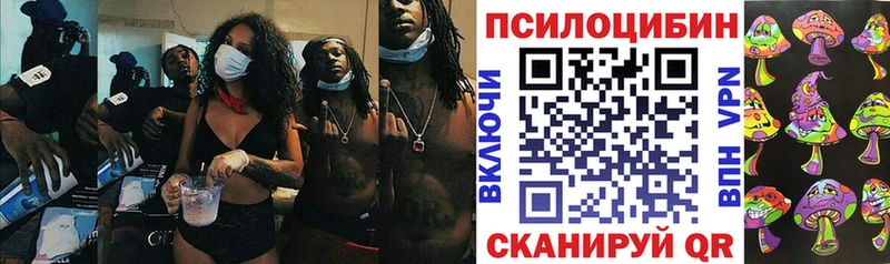 Купить  Красновишерск  Галлюциногенные грибы мицелий 
