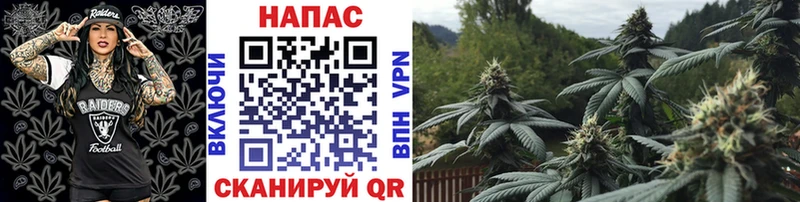 Конопля VHQ Красновишерск